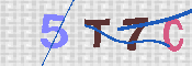 キャプチャ画像