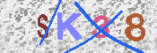 キャプチャ画像
