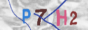 キャプチャ画像