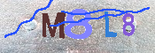 キャプチャ画像