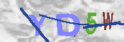 キャプチャ画像