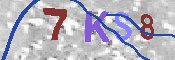 キャプチャ画像