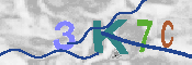 キャプチャ画像