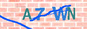 キャプチャ画像