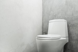 White toilet bowl concrete wall