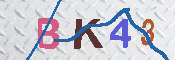 キャプチャ画像