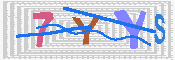 キャプチャ画像