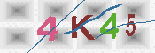 キャプチャ画像