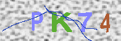 キャプチャ画像