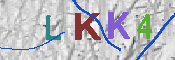 キャプチャ画像