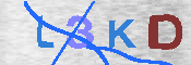 キャプチャ画像