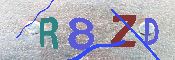 キャプチャ画像