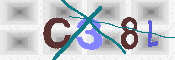 キャプチャ画像