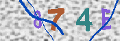 キャプチャ画像