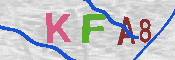 キャプチャ画像