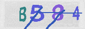 キャプチャ画像