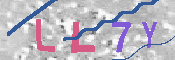 キャプチャ画像