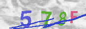 キャプチャ画像