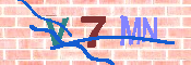 キャプチャ画像