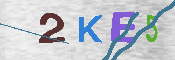 キャプチャ画像