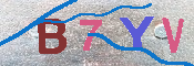 キャプチャ画像