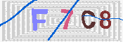 キャプチャ画像