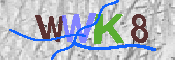 キャプチャ画像