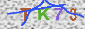キャプチャ画像