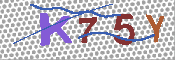キャプチャ画像