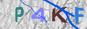 キャプチャ画像