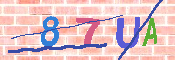 キャプチャ画像