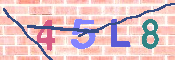キャプチャ画像