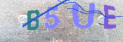 キャプチャ画像