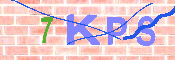 キャプチャ画像