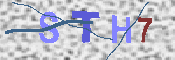 キャプチャ画像