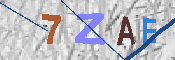 キャプチャ画像
