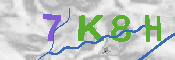 キャプチャ画像