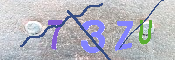キャプチャ画像