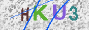 キャプチャ画像