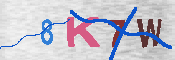 キャプチャ画像