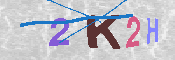 キャプチャ画像