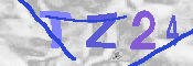 キャプチャ画像