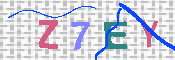 キャプチャ画像