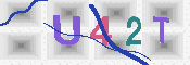 キャプチャ画像