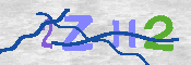 キャプチャ画像
