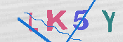 キャプチャ画像