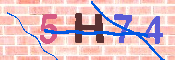 キャプチャ画像