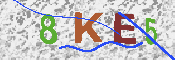 キャプチャ画像