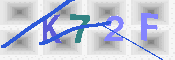 キャプチャ画像