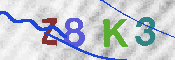 キャプチャ画像